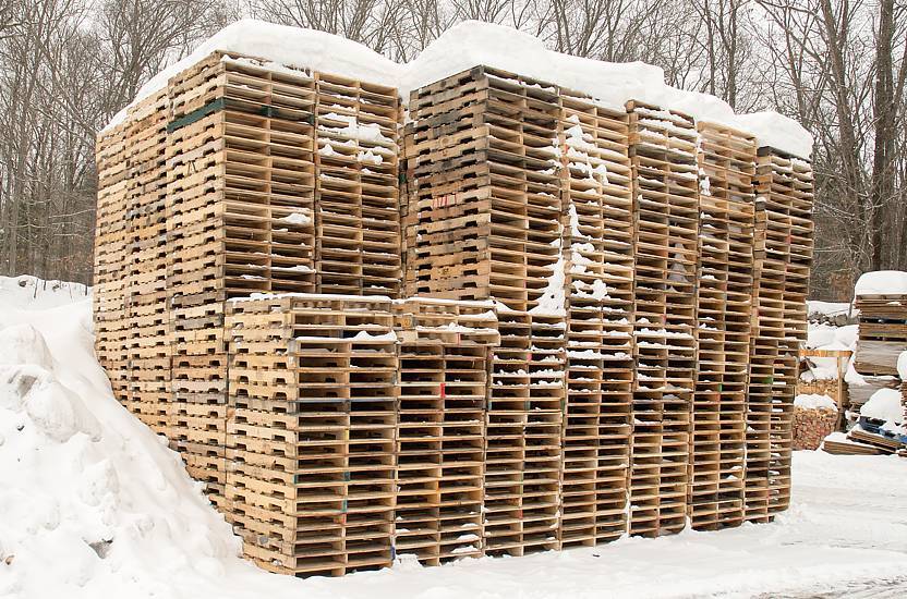 Wie kann man Schimmel auf Holzpaletten vermeiden? Entdecken Sie Möglichkeiten zum Schutz Ihrer Paletten