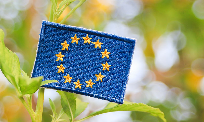 Rotom stärkt nachhaltige Logistik angesichts globaler Herausforderungen in der Lieferkette