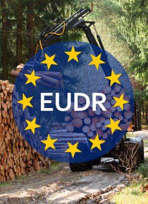 Die EUDR und ihre Auswirkungen auf die nachhaltige Nutzung von Ladungsträgern aus Holz