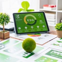 Warum Rotom eine Nachhaltigkeitsmanagerin hat