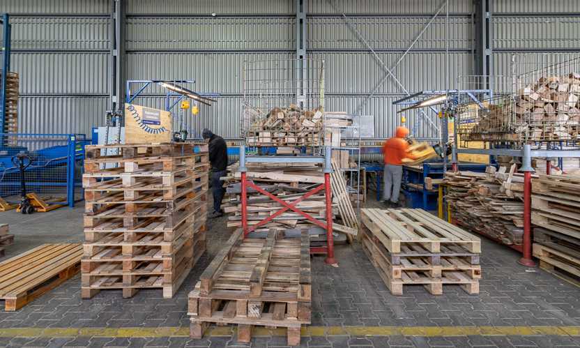 Regenerierung von Holzpaletten in der Produktionshalle